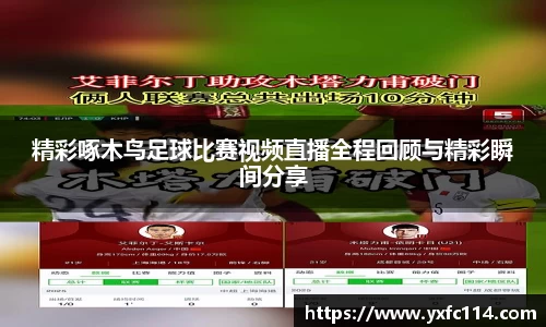 熊猫体育直播