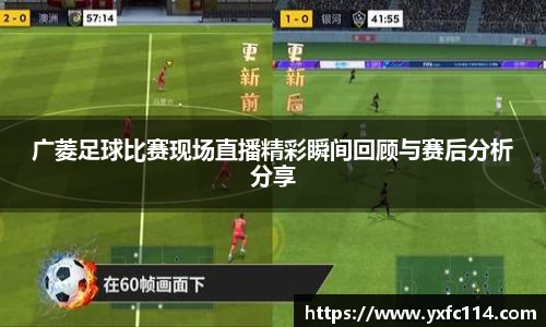 熊猫体育