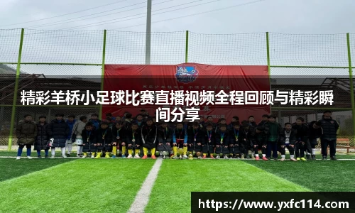 熊猫体育官网