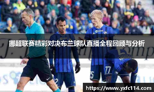 熊猫体育官网