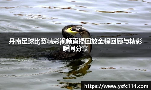 熊猫体育直播
