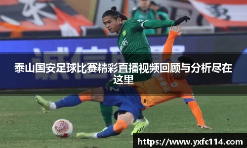 熊猫体育