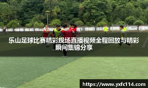 熊猫体育app