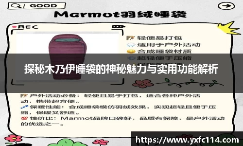 熊猫体育直播