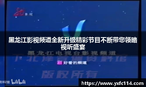 熊猫体育