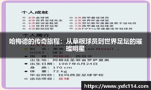 熊猫体育直播