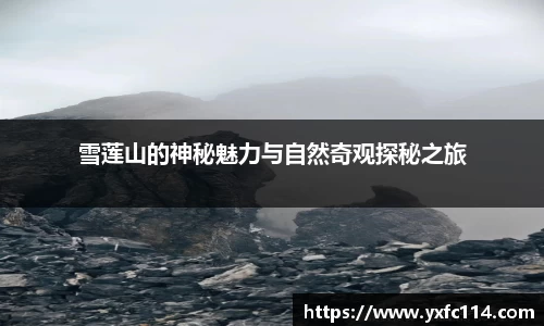 熊猫体育直播