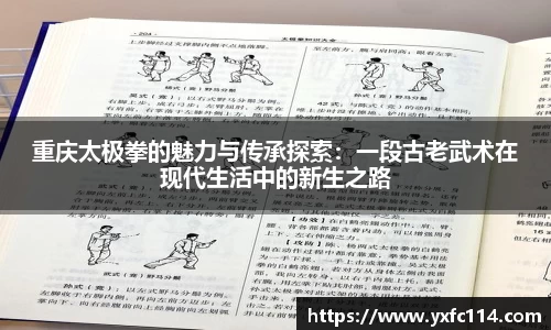 重庆太极拳的魅力与传承探索：一段古老武术在现代生活中的新生之路