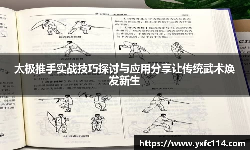 太极推手实战技巧探讨与应用分享让传统武术焕发新生