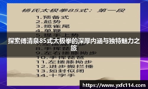 探索傅清泉85式太极拳的深厚内涵与独特魅力之旅